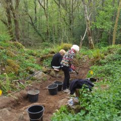 Volunteers working on a community archaeological evaluation at Vinnimore Farm, Dartmoor, Devon. Farm, Dartmoor,Devon.